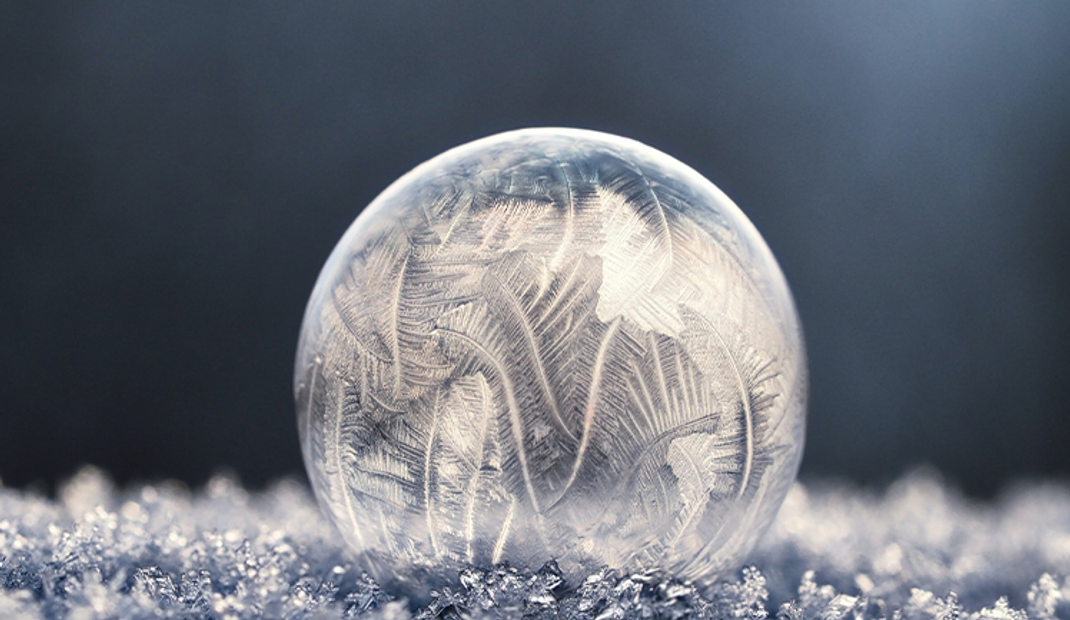 Auto generated site macro photography portfolio
