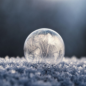 Auto generated site macro photography portfolio