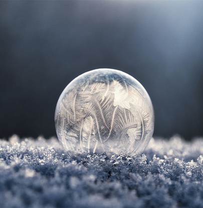 Auto generated site macro photography portfolio