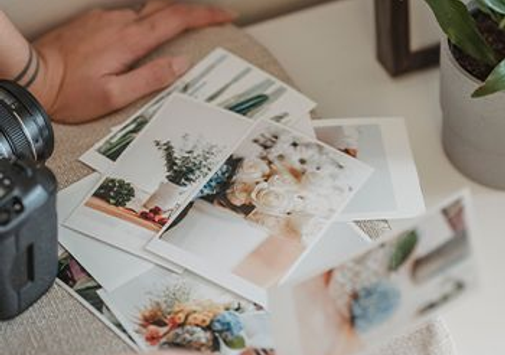 Auto generated site macro photography portfolio