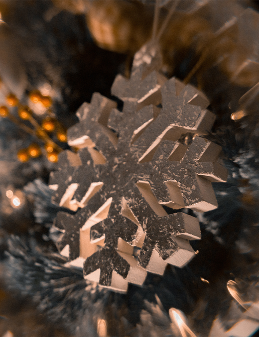 Auto generated site macro photography portfolio