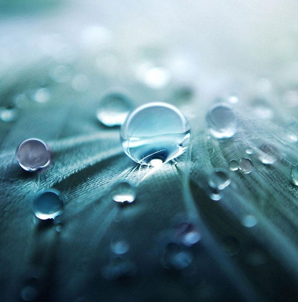 Auto generated site macro photography portfolio